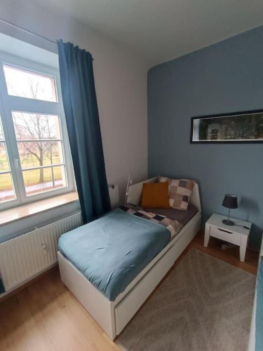 An Den Elbwiesen Neben Der Altstadt * Dresda
