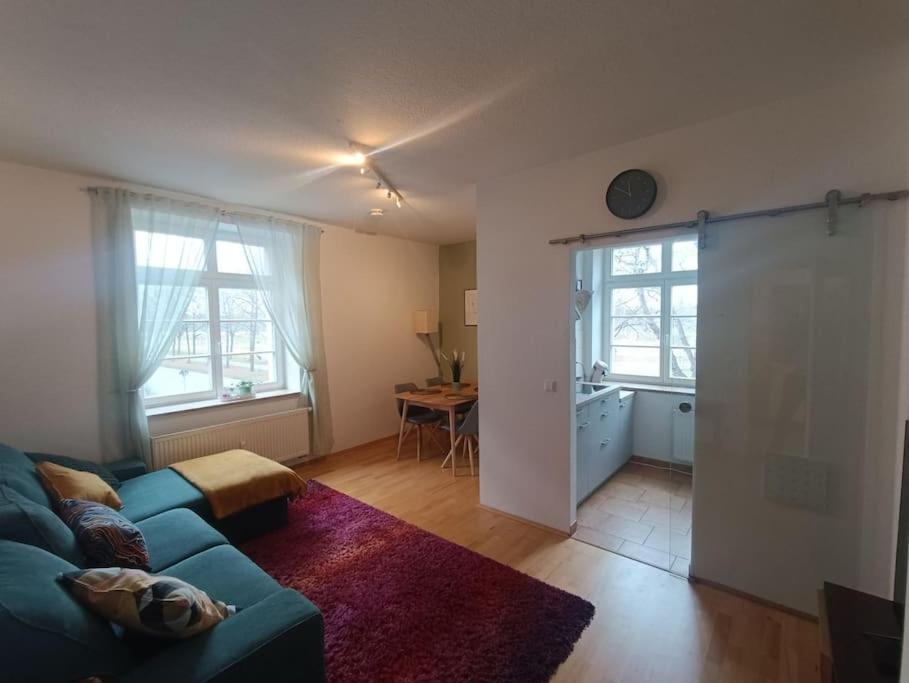 An Den Elbwiesen Neben Der Altstadt * Dresda